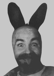 bunnymanson